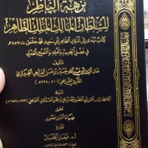 نزهة الناظر للسلطان المالك الملك الظاهر